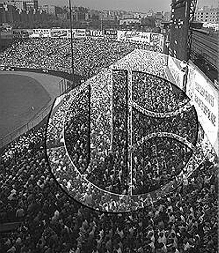 World Series crowd in Yankee Stadium bleachers56N0262